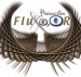 Аватар пользователя FluxoOr