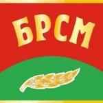 это флаг БРСМ