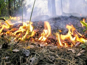 В 2011 году из-за выжигания травы в Могилёвской области сгорело 11 зданий