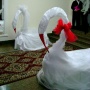  два лебедя-символ крепкой любви
